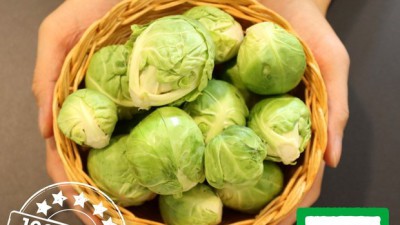 겨울철 최고의 선택! 🥬✨ 싱싱한 겨울 채소 특가 정보!